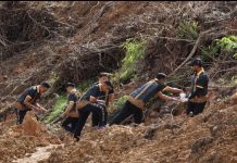 Pemanfaatan Lahan Reklamasi, Polres Kutim Tanam Jagung di Eks Tambang KPC